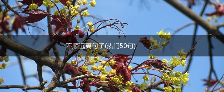 不顺远离句子(热门50句),第1张