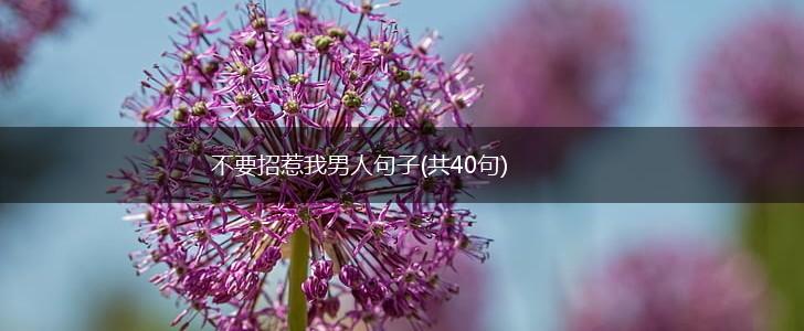 不要招惹我男人句子(共40句),第1张