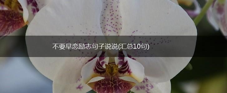 不要早恋励志句子说说(汇总10句),第1张