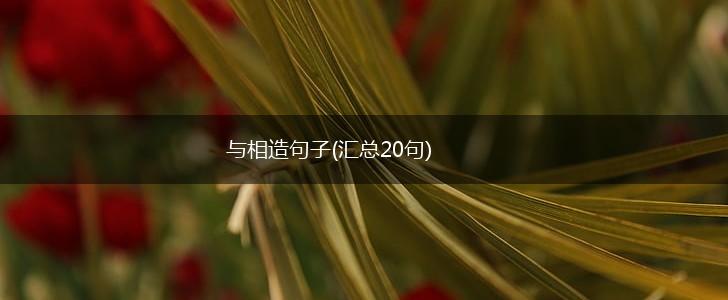 与相造句子(汇总20句),第1张