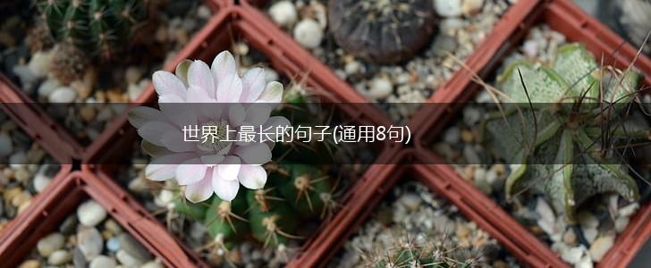 世界上最长的句子(通用8句),第1张