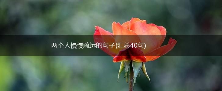 两个人慢慢疏远的句子(汇总40句),第1张