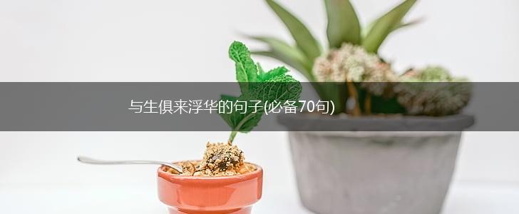 与生俱来浮华的句子(必备70句),第1张