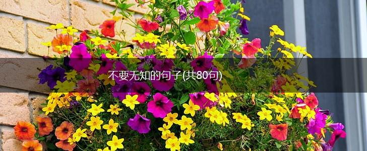 不要无知的句子(共80句),第1张