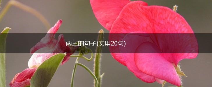 两三的句子(实用20句),第1张