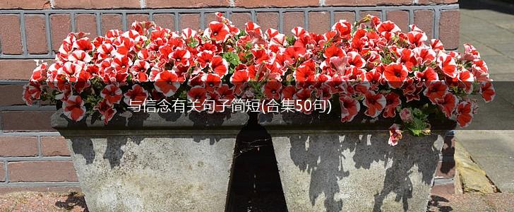 与信念有关句子简短(合集50句),第1张