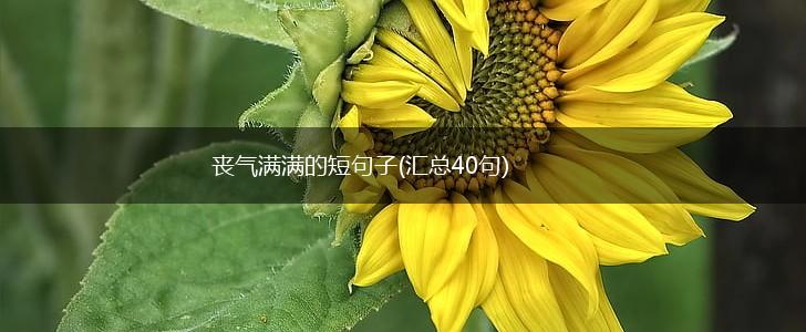 丧气满满的短句子(汇总40句),第1张