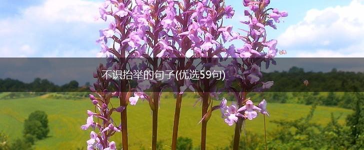 不识抬举的句子(优选59句),第1张