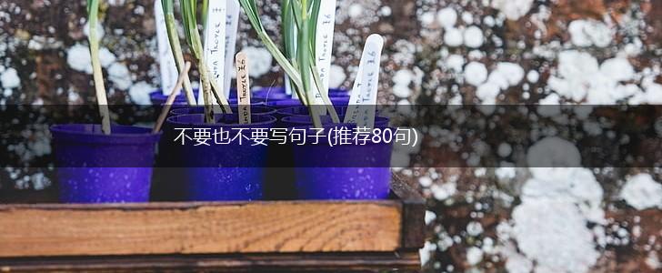 不要也不要写句子(推荐80句),第1张