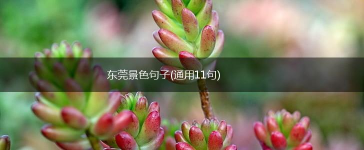 东莞景色句子(通用11句),第1张