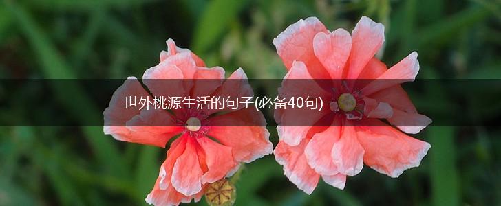 世外桃源生活的句子(必备40句),第1张