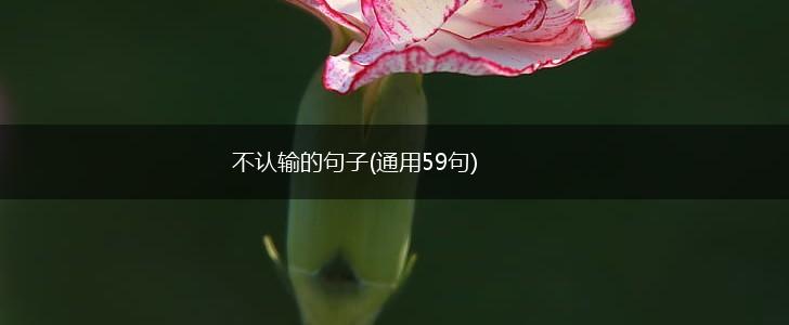 不认输的句子(通用59句),第1张