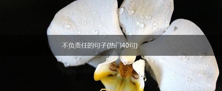 不负责任的句子(热门40句),第1张