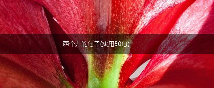 两个儿的句子(实用50句),第1张
