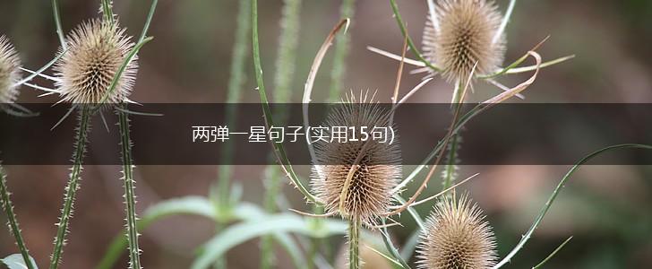 两弹一星句子(实用15句),第1张