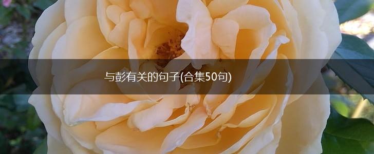 与彭有关的句子(合集50句),第1张