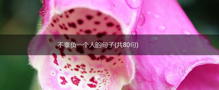 不辜负一个人的句子(共80句),第1张