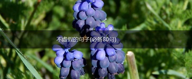 不虚假的句子(必备80句),第1张