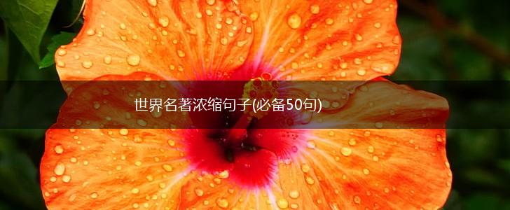 世界名著浓缩句子(必备50句),第1张