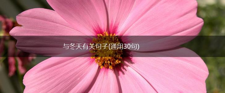 与冬天有关句子(通用30句),第1张