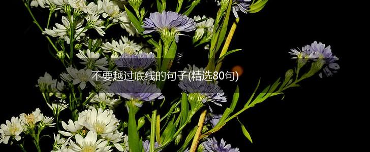 不要越过底线的句子(精选80句),第1张