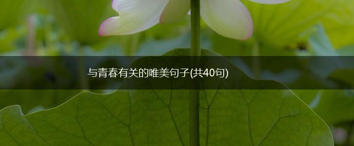与青春有关的唯美句子(共40句),第1张