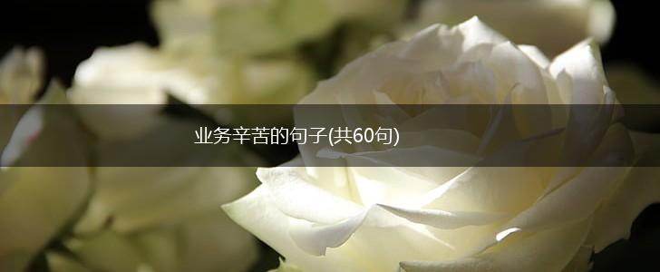 业务辛苦的句子(共60句),第1张