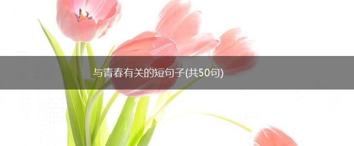 与青春有关的短句子(共50句),第1张