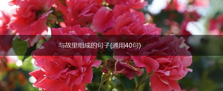 与故里组成的句子(通用40句),第1张