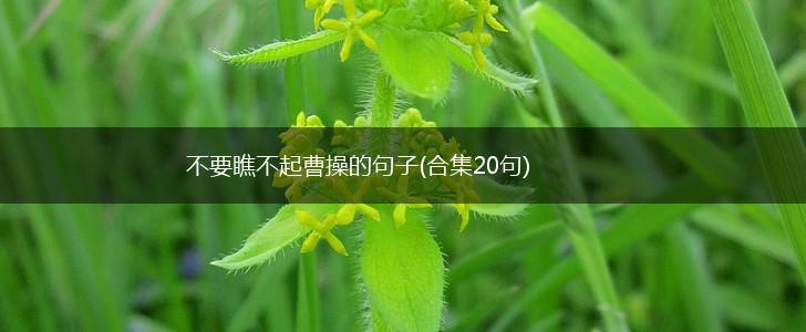 不要瞧不起曹操的句子(合集20句),第1张