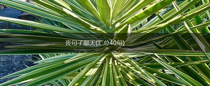 丧句子聊天(汇总40句),第1张