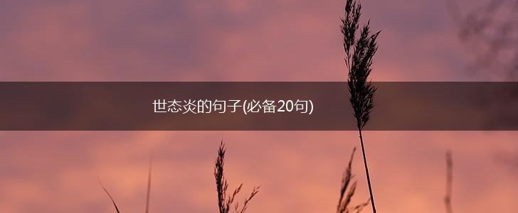 世态炎的句子(必备20句),第1张