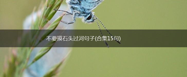 不要摸石头过河句子(合集15句),第1张