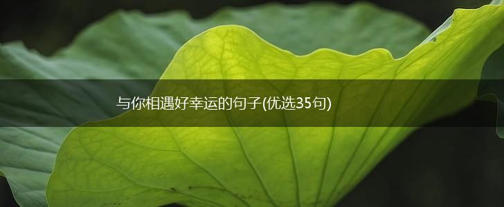 与你相遇好幸运的句子(优选35句),第1张