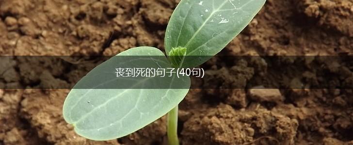 丧到死的句子(40句),第1张