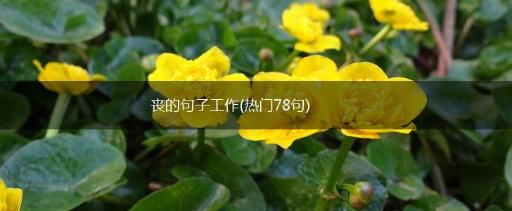 丧的句子工作(热门78句),第1张