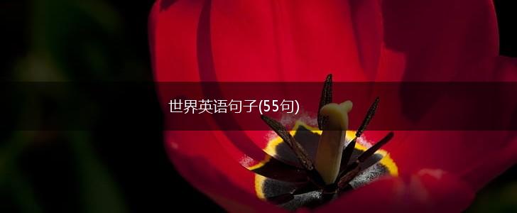 世界英语句子(55句),第1张
