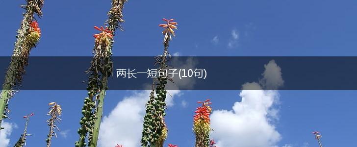 两长一短句子(10句),第1张