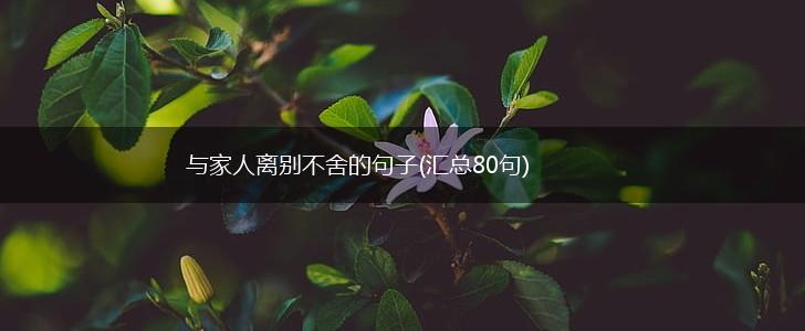 与家人离别不舍的句子(汇总80句),第1张