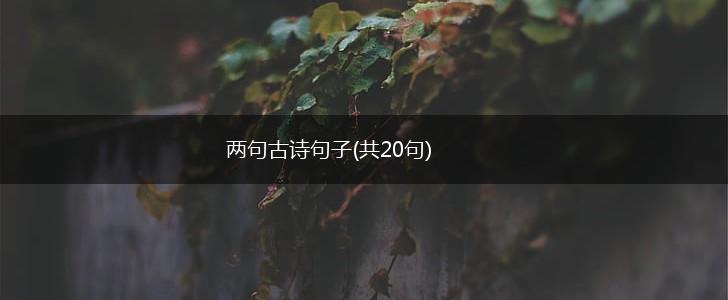 两句古诗句子(共20句),第1张