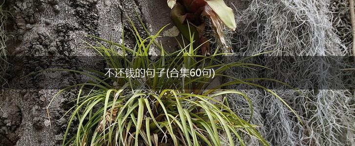 不还钱的句子(合集60句),第1张