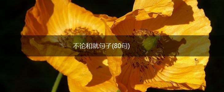 不论和就句子(80句),第1张