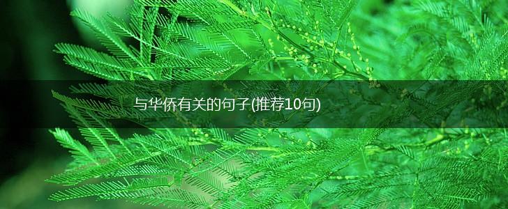 与华侨有关的句子(推荐10句),第1张