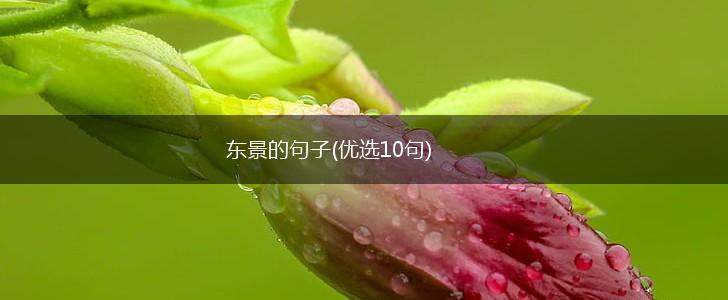 东景的句子(优选10句),第1张