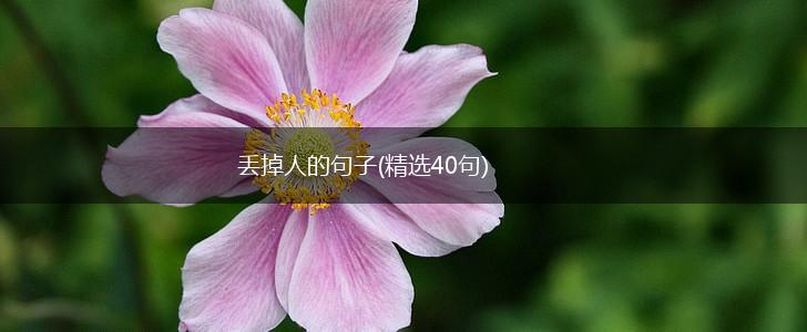丢掉人的句子(精选40句),第1张