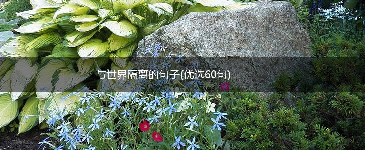 与世界隔离的句子(优选60句),第1张