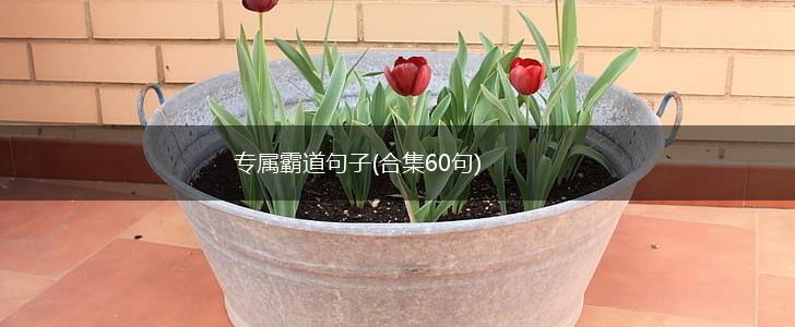 专属霸道句子(合集60句),第1张