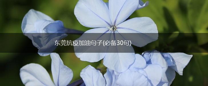 东莞抗疫加油句子(必备30句),第1张