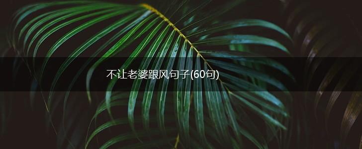 不让老婆跟风句子(60句),第1张