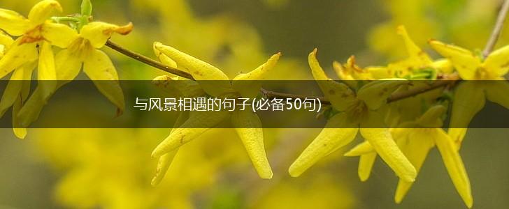 与风景相遇的句子(必备50句),第1张